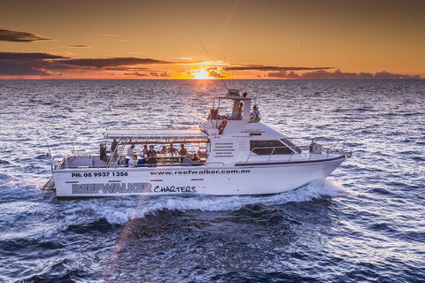 Kalbarri Sunset Coastal Cliff Cruise - Accommodation Daintree 2