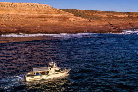 Kalbarri Sunset Coastal Cliff Cruise - Accommodation Daintree 4