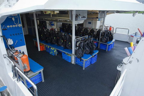 Silverswift Outer Great Barrier Reef Dive And Snorkel Cruise From Cairns - Accommodation Daintree 0