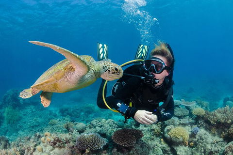Silverswift Outer Great Barrier Reef Dive And Snorkel Cruise From Cairns - Accommodation Daintree 2