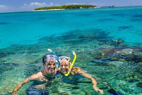 Green Island Day Trip Including Seawalker Helmet Dive COMBO - Accommodation Daintree 0