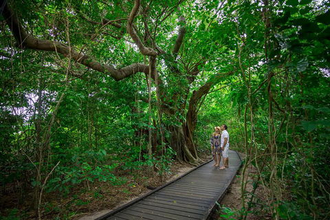 Green Island Day Trip Including Seawalker Helmet Dive COMBO - Accommodation Daintree 1