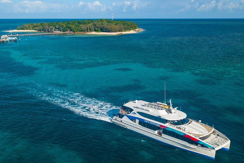 Green Island Day Trip Including Seawalker Helmet Dive COMBO - Accommodation Daintree 2