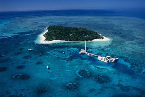 Green Island Day Trip Including Seawalker Helmet Dive COMBO - Accommodation Daintree 5