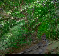 Green Island Eco Adventure from Cairns - Accommodation Daintree
