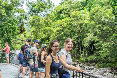 Cape Tribulation, Mossman Gorge, And Daintree Rainforest Day Trip From Cairns Or Port Douglas - Accommodation Daintree 0