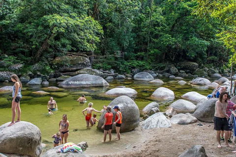 Cape Tribulation, Mossman Gorge, And Daintree Rainforest Day Trip From Cairns Or Port Douglas - Accommodation Daintree 1