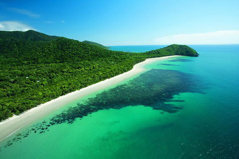Cape Tribulation, Mossman Gorge, And Daintree Rainforest Day Trip From Cairns Or Port Douglas - Accommodation Daintree 2