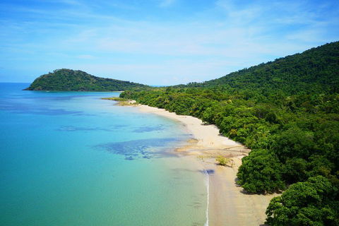 Cape Tribulation, Mossman Gorge, And Daintree Rainforest Day Trip From Cairns Or Port Douglas - Accommodation Daintree 5