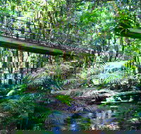 Double Pack-Ancient Rainforest and Waterfalls - Accommodation Daintree