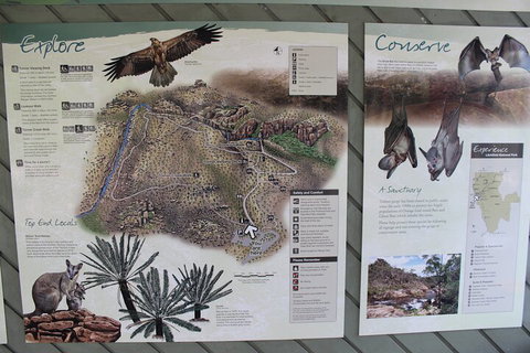 Jumping Crocodile Cruise And Berry Springs Nature Park - Accommodation Daintree 2