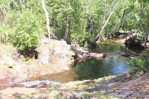 Jumping Crocodile Cruise And Berry Springs Nature Park - Accommodation Daintree 3