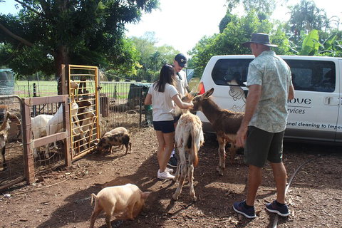 Jumping Crocodile Cruise And Berry Springs Nature Park - Accommodation Daintree 4
