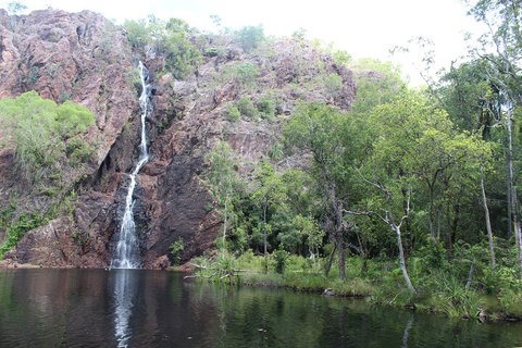 Jumping Crocodile Cruise And Berry Springs Nature Park - Accommodation Daintree 5
