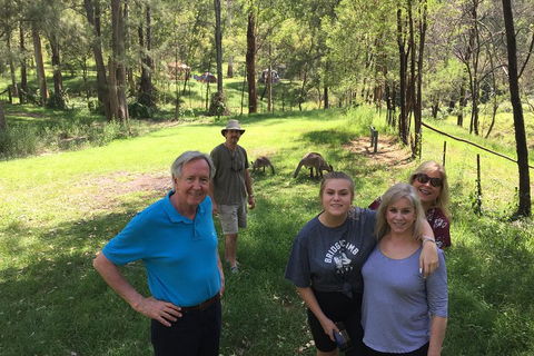 Small Group Blue Mountains Day Tour From Sydney - Accommodation Daintree 1