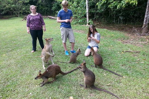 Small Group Blue Mountains Day Tour From Sydney - Accommodation Daintree 2