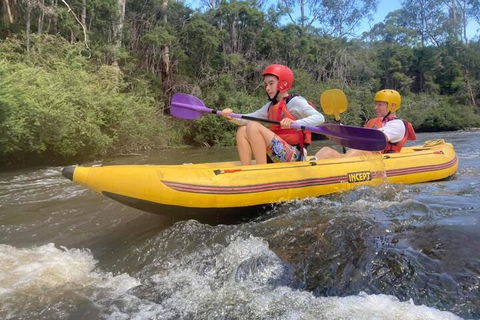 Yarra River Half-Day Rafting Experience - Accommodation Daintree 1