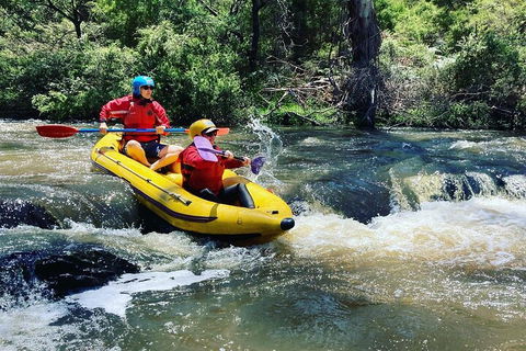 Yarra River Half-Day Rafting Experience - Accommodation Daintree 4