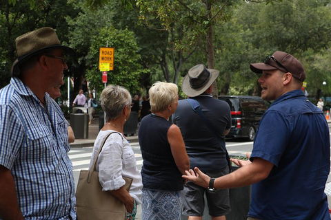 The Rocks Pub Walking Tour - Accommodation Daintree 1