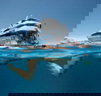 3 Day Great Barrier Reef Daintree Rainforest and Outback Chillagoe Tour - Accommodation Daintree
