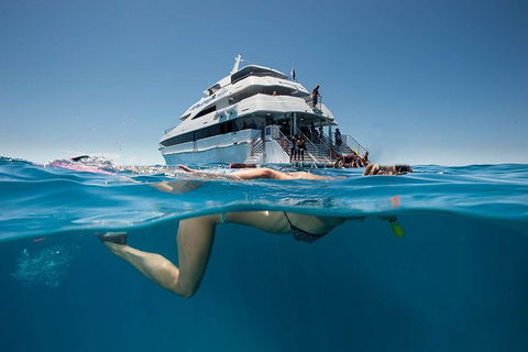 3 Day Great Barrier Reef, Daintree Rainforest And Outback Chillagoe Tour - Accommodation Daintree 0