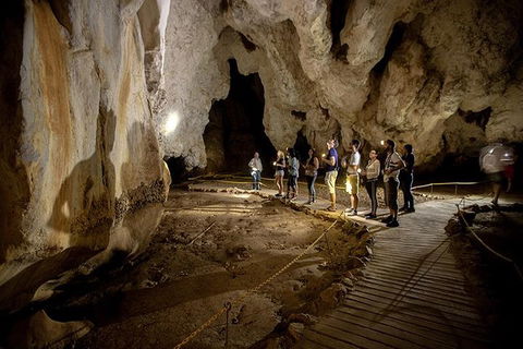 3 Day Great Barrier Reef, Daintree Rainforest And Outback Chillagoe Tour - Accommodation Daintree 1