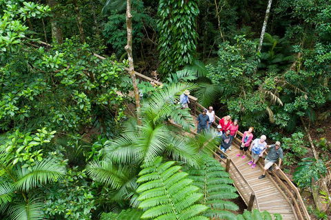 3 Day Great Barrier Reef, Daintree Rainforest And Outback Chillagoe Tour - Accommodation Daintree 2