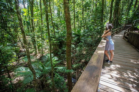 3 Day Great Barrier Reef, Daintree Rainforest And Outback Chillagoe Tour - Accommodation Daintree 3