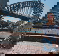 The Rocks  Darling Harbour With A Local Private  Personalized - Accommodation Daintree
