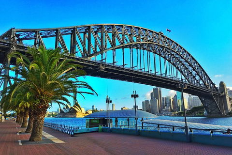 The Rocks & Darling Harbour With A Local: Private & Personalized - Accommodation Daintree 2