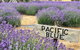 Kangaroo Island Food And Wine Hop-on Hop-off Tour - thumb 4