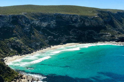 Kangaroo Island Scenic Trail Tour - Accommodation Daintree 4