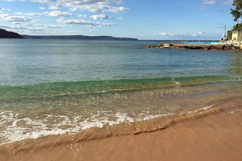 Small-Group Sydney's Northern Beaches And Ku-ring-gai National Park Bus Tour - Accommodation Daintree 1