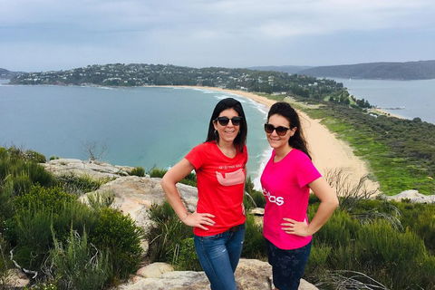 Small-Group Sydney's Northern Beaches And Ku-ring-gai National Park Bus Tour - Accommodation Daintree 3