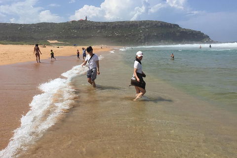 Small-Group Sydney's Northern Beaches And Ku-ring-gai National Park Bus Tour - Accommodation Daintree 5