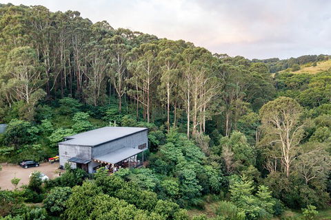 Full-Day Tour To Byron Bay Best Food And Drink Spots - Accommodation Daintree 3