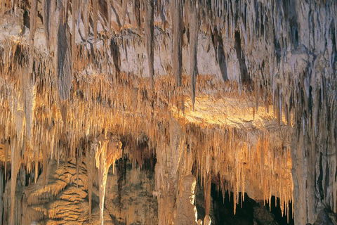 Margaret River, Caves, Wine And Cape Leeuwin Lighthouse Tour From Perth - Accommodation Daintree 3