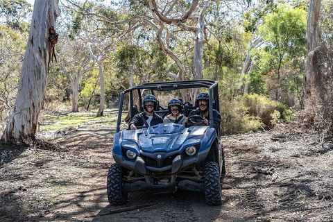 Small-Group Buggy Tour At Little Sahara With Guide - Accommodation Daintree 0