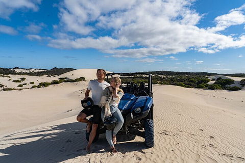 Small-Group Buggy Tour At Little Sahara With Guide - Accommodation Daintree 2