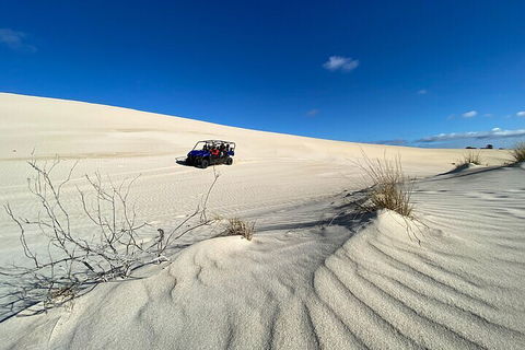 Small-Group Buggy Tour At Little Sahara With Guide - Accommodation Daintree 3