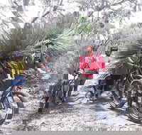 2 Hour Bike Tour in Kangaroo Island - Accommodation Daintree