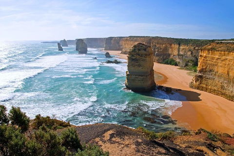 Great Ocean Road Small-Group Ecotour From Melbourne - Accommodation Daintree 2