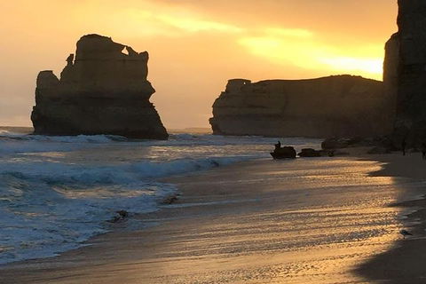 Great Ocean Road Small-Group Ecotour From Melbourne - Accommodation Daintree 5