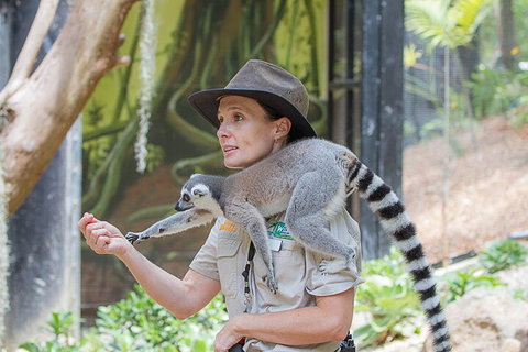 Currumbin Wildlife Sanctuary General Entry Ticket - Accommodation Daintree 1