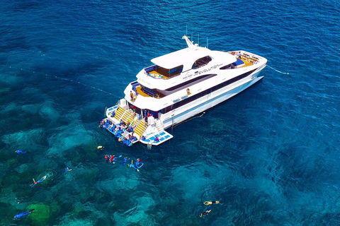 Great Barrier Reef Snorkeling And Diving Cruise From Cairns - Accommodation Daintree 5