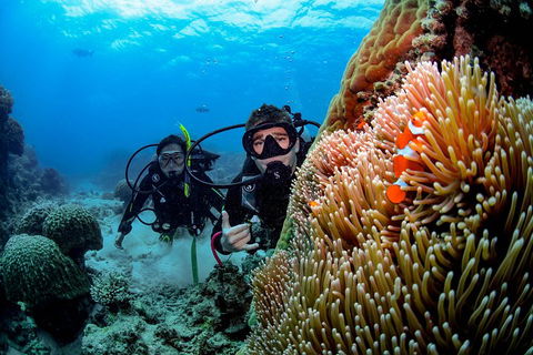 Full Day Reef Cruise Including 10 Minute Heli Scenic Flight: Get High Package - Accommodation Daintree 5