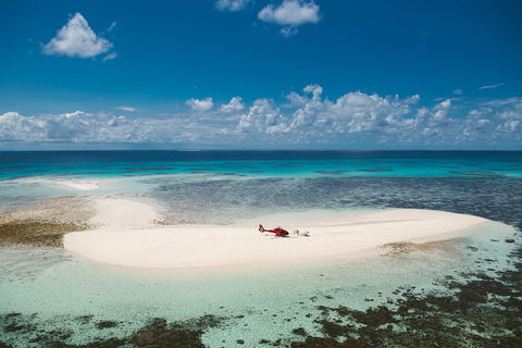 Private Helicopter Tour: Reef Island Snorkeling And Gourmet Picnic Lunch - Accommodation Daintree 4