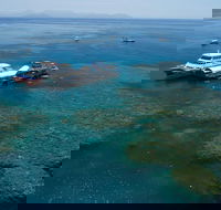 Cruise to Moore Reef Pontoon and Return Helicopter Flight from Cairns - Accommodation Daintree