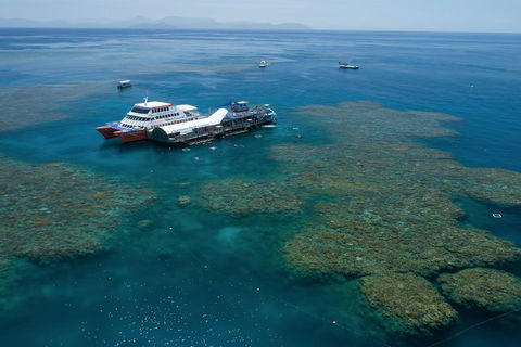 Cruise To Moore Reef Pontoon And Return Helicopter Flight From Cairns - Accommodation Daintree 0