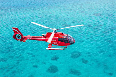 Cruise To Moore Reef Pontoon And Return Helicopter Flight From Cairns - Accommodation Daintree 1